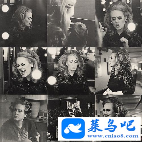 Adele - Live.At.The.Royal.Albert.Hall.2011.BDRip.1.1G.ٶ