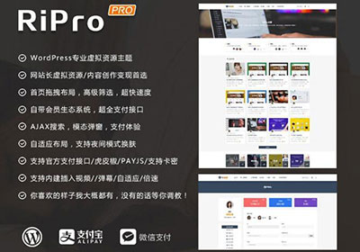 WordPress RiProV4.3.0ƽȥȨư汾