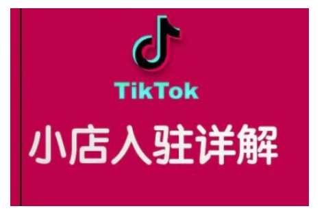 TikTok羳СӪȫԣӪTK羳Сʵ