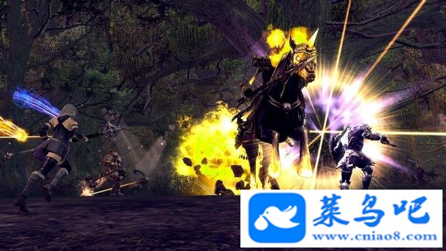 Zε Z RaiderZ3DϷ ְҵ