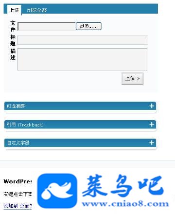 ʹWordpress׫дĲ